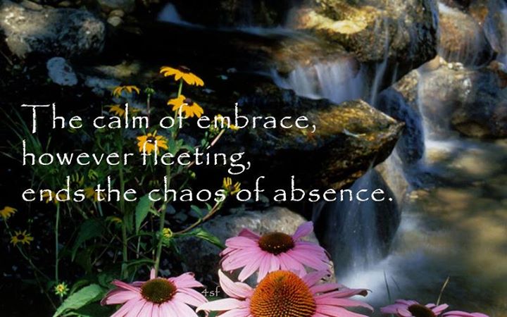 calm of embrace haiku